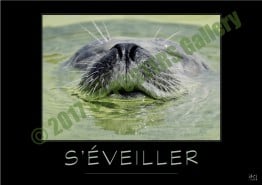 @S'EVEILLER-Verbe_OK_PostersGallery_copyr