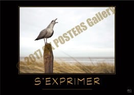 @S'EXPRIMER-Verbe_OK_PostersGallery_copyr