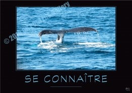 SE-CONNAITRE-Verbe_OK_PosterGallery_copyr