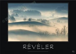 @REVELER-Verbe_OK_PostersGallery_copyr
