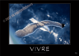 VIVRE NEW-Verbe_OK_PostersGallery_copyr
