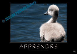 APPRENDRE-Verbe_OK_PostersGallery_copyr