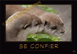 SE CONFIER-Verbe_OK_PosterGallery_copyr
