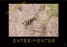 EXPERIMENTER-Verbe_OK_PostersGallery-2022_copyr