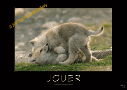 JOUER-Verbe_OK_PostersGallery-2022_copyr