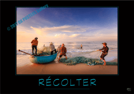 RECOLTER2022-Verbe_OK_PostersGallery_copyr