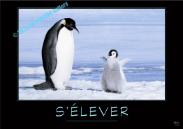 S'ELEVER-Verbe_OK_PostersGallery-2022_copyr