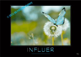 INFLUER-Verbe_OK_PostersGallery_copyr