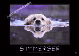 S'IMMERGER-Verbe_OK_PostersGallery_copyr