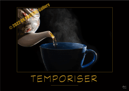 TEMPORISER-Verbe_OK_PostersGallery_copyr