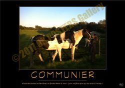 Poster de motivation COMMUNIER
© 2017 OK POSTERS Gallery Poster de motivation COMMUNIER © 2017 OK POSTERS Gallery