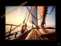 Collection VERBES d'Action