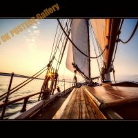 Collection VERBES d'Action