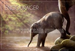 ENCOURAGER