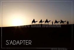 S’ADAPTER