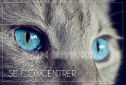 SE CONCENTRER