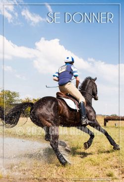 SE DONNER