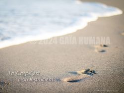 N°02 ~ LE CORPS EST MON INSTRUMENT