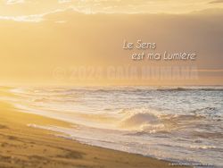 N°05 ~ LE SENS EST MA LUMIERE