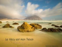 N°06 ~ LE VECU EST MON TRESOR