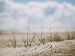 N°07 ~ L’ÊTRE EST MON PARAÎTRE