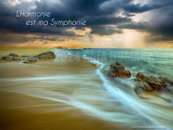 N°10 ~ L’HARMONIE EST MA SYMPHONIE