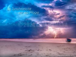 N°11 ~ LA SYNCHRONICITÉ EST MA MAGIE