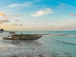 N°14 ~ LA SIMPLICITE EST MA LEGERETE