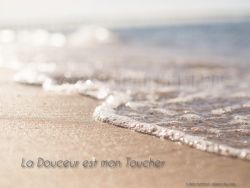 N°15 ~LA DOUCEUR EST MON TOUCHER