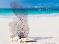 N°16 ~LA LEGERETE EST MA DENSITE