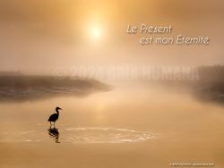 N°18 ~ LE PRESENT EST MON ETERNITE