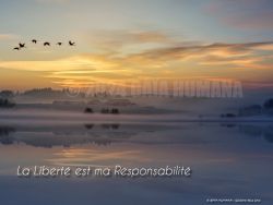 N°19 ~ LA LIBERTE EST MA RESPONSABILITE