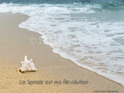 N°23 ~ LA SPIRALE EST MA REVOLUTION