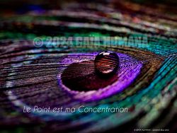 N°24 ~ LE POINT EST MA CONCENTRATION