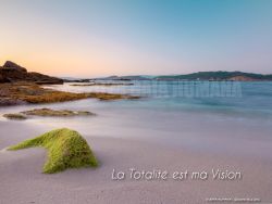 N°25 ~ LA TOTALITE EST MA VISION