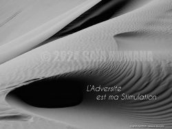 N°27 ~ L’ADVERSITE EST MA STIMULATION