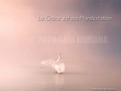 N°30 ~ LA GRÂCE EST MA MANIFESTATION