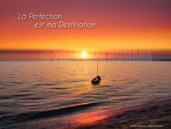 N°31 ~ LA PERFECTION EST MA DESTINATION