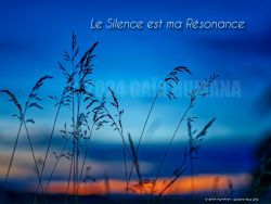N°33 ~ LE SILENCE EST MA RESONANCE