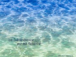 N°34 ~ LA TRANSPARENCE EST MA RELIANCE
