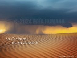 N°35 ~ LA CONFIANCE EST MA CROYANCE