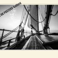 Collection VERBES d'Action