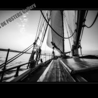 Collection VERBES d'Action