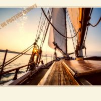 Collection VERBES d'Action