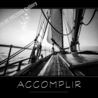 Collection VERBES d'Action