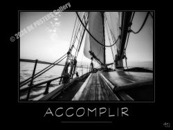 Collection VERBES d'Action